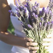 Holistic Health related image
